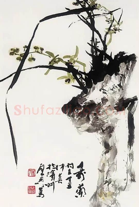 乍启典·寿兰