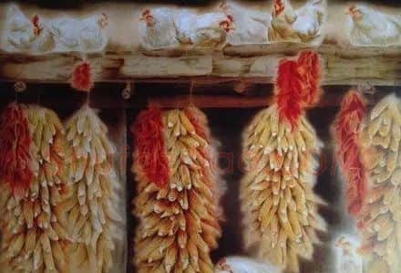伯晓华·酣秋