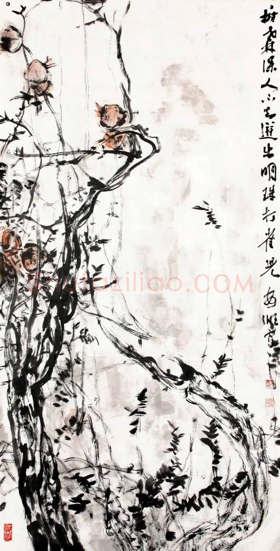 安顺·作品