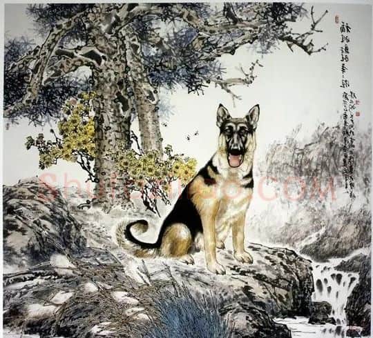 杨九洲·作品