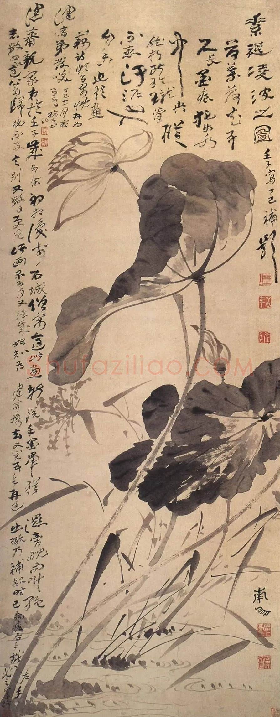 高凤翰·左手画荷花