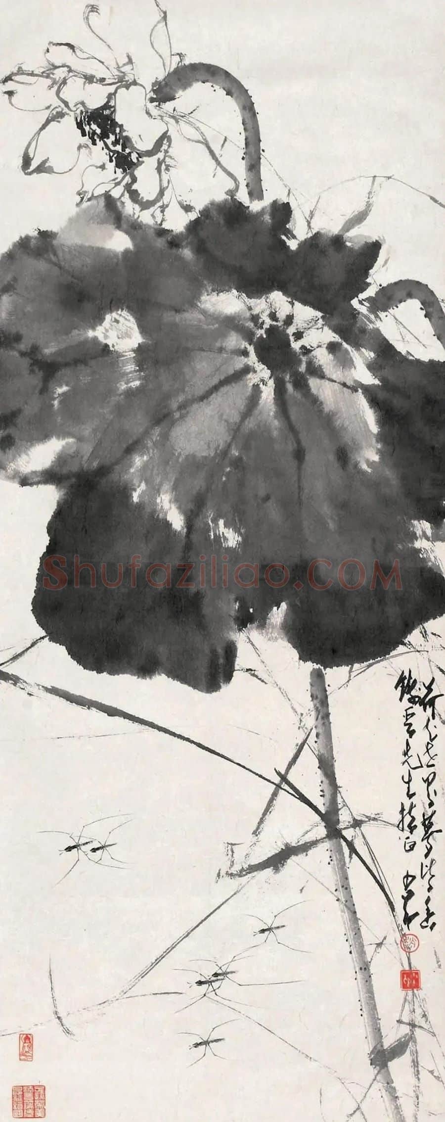 赵少昂·墨荷