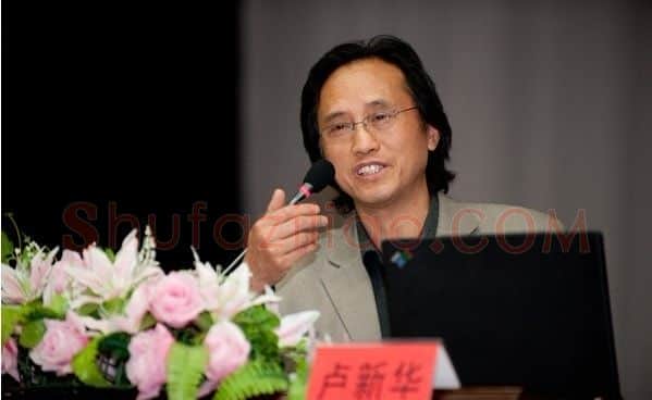 卢新华·画像·照片