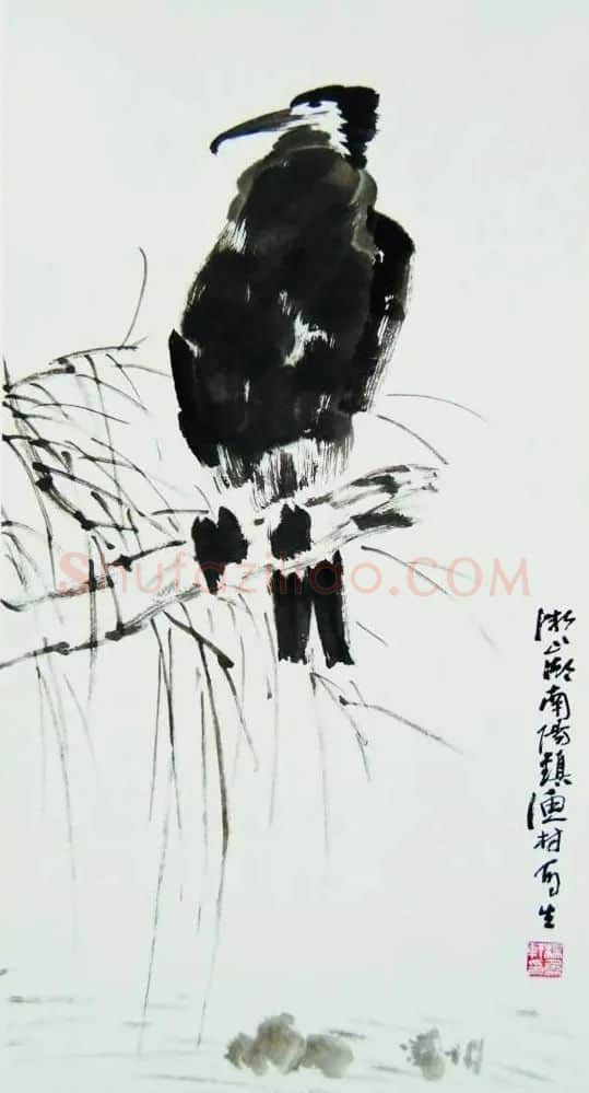 杨象宪·鱼鹰