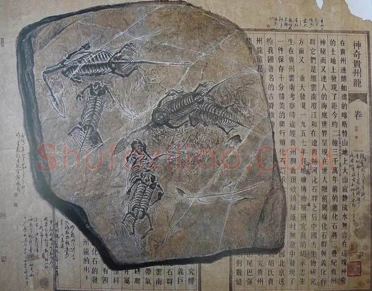 刘奇卡·作品