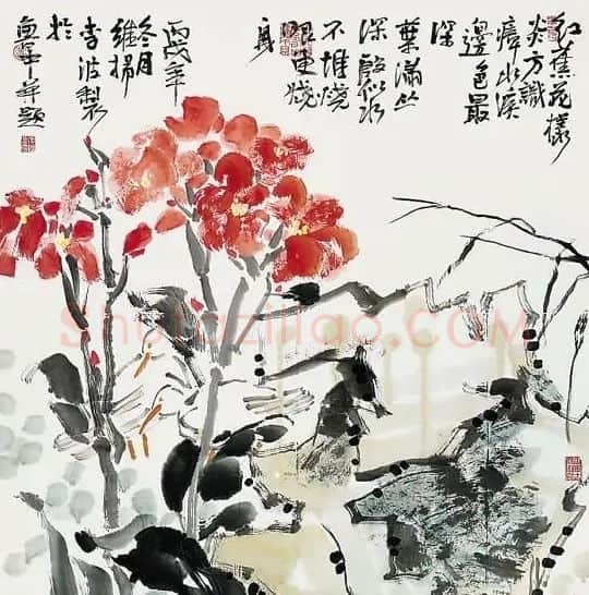 李波·美人蕉