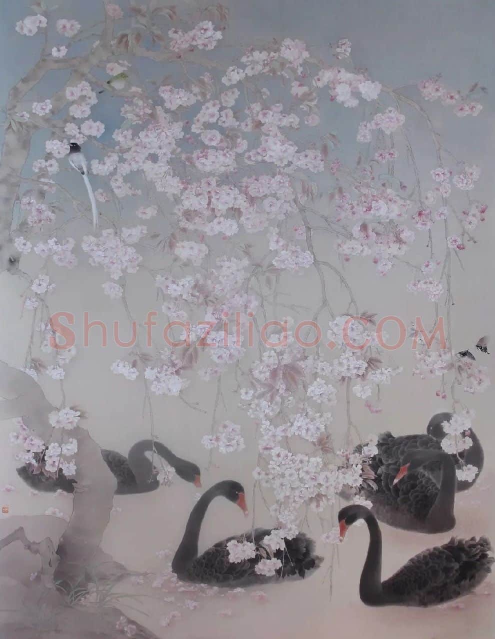 杨娜·一池春樱落梦中