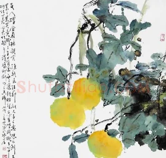 沈光伟·橘实图