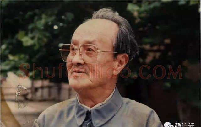 张雷白·画像·照片