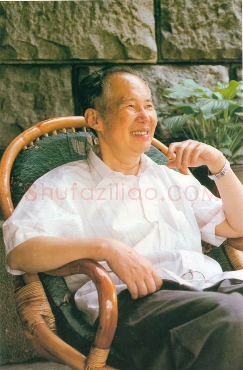 汤文选·画像·照片