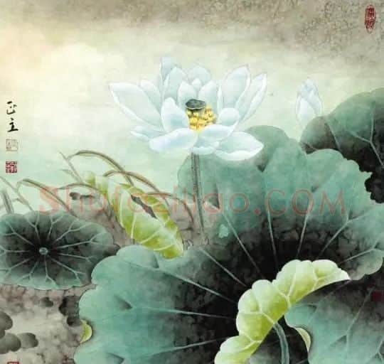顾正主·晨露