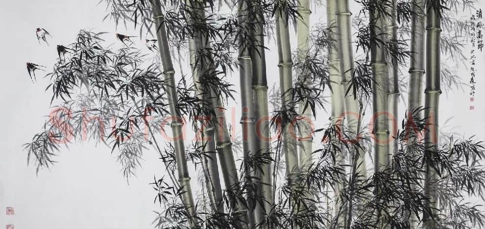 阮成森·清风高节