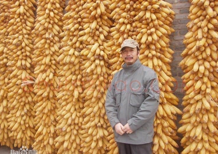 陈书文·画像·照片