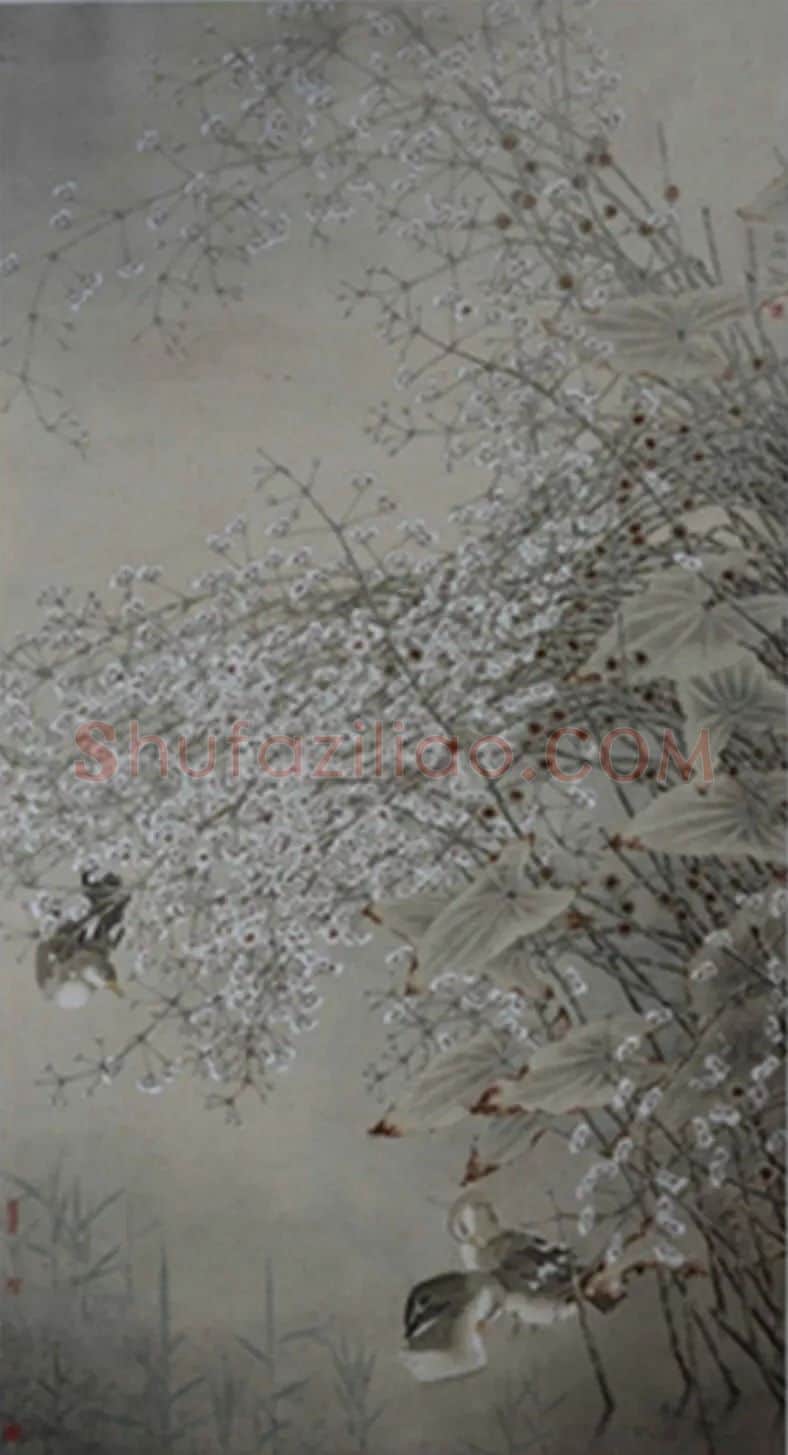 朱瑞·风起茨花送幽香