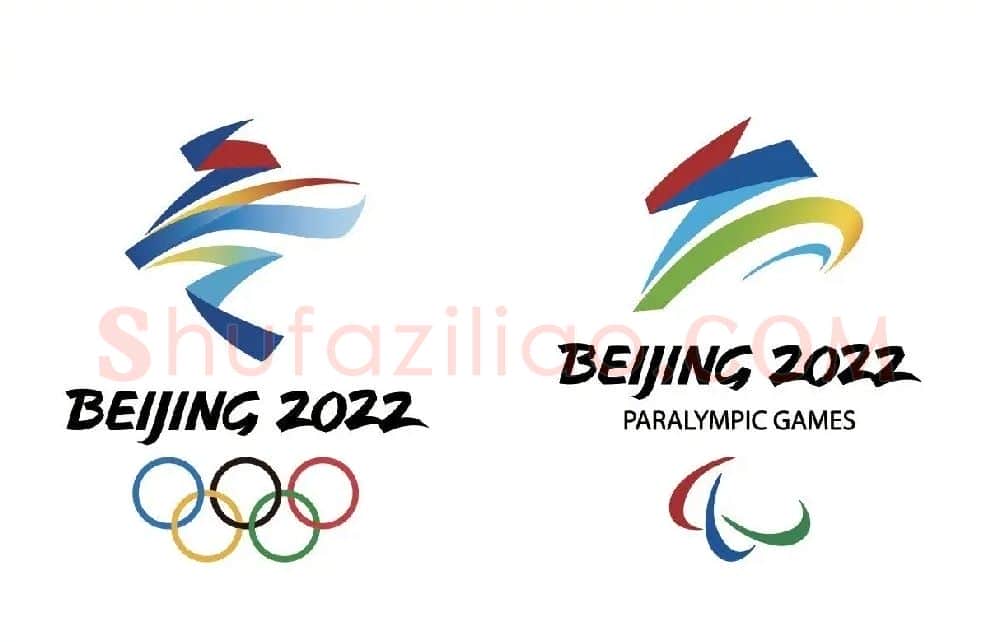 林存真·2022北京冬季奥林匹克运动会会徽2022北京冬季残疾人奥林匹克运动会会徽(2018年珠海设计周主题展)