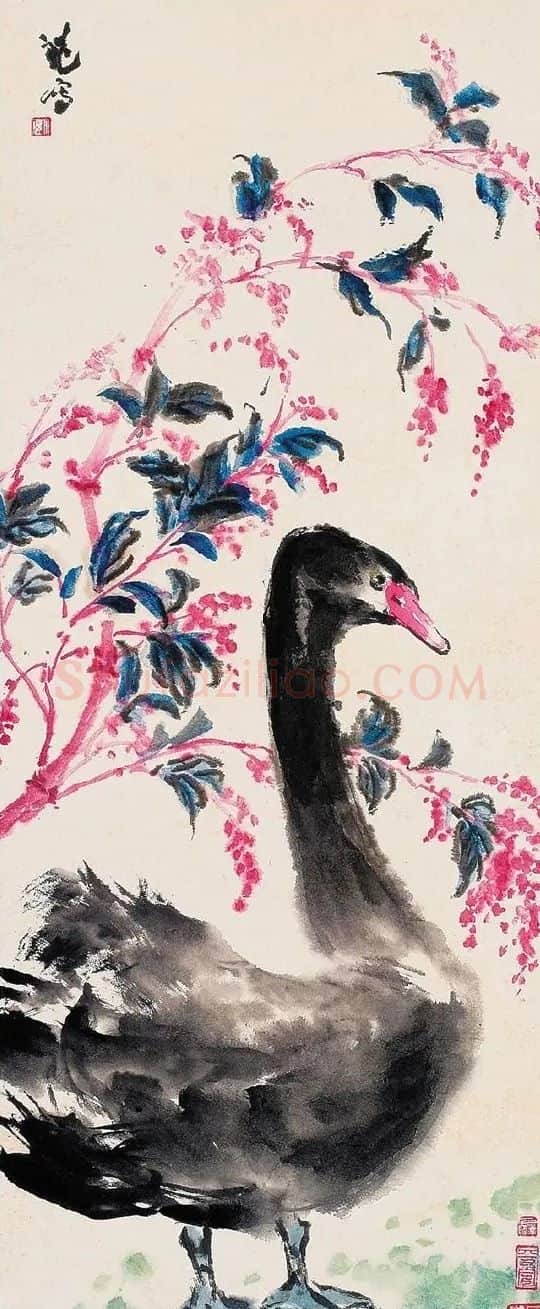 钱大礼·黑天鹅