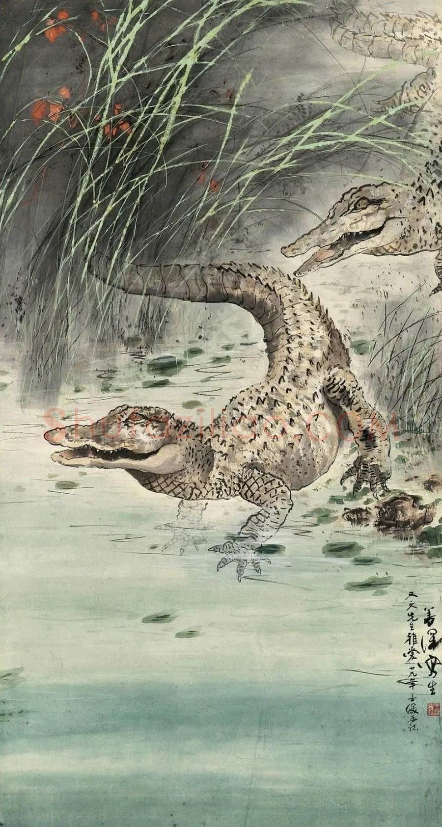 杨善深·鳄鱼