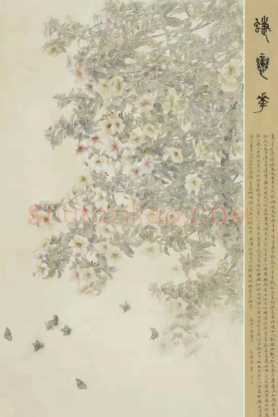 范景华·蝶恋花