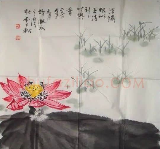 杜雪松·荷花