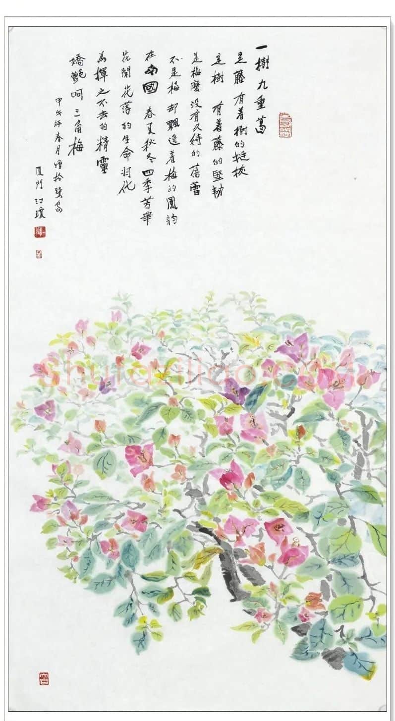 韦江琼·一树九重葛
