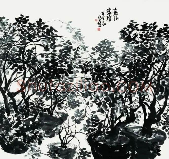 王云亮·嘉木浓荫