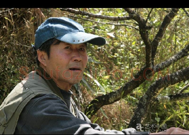 谷钢·画像·照片