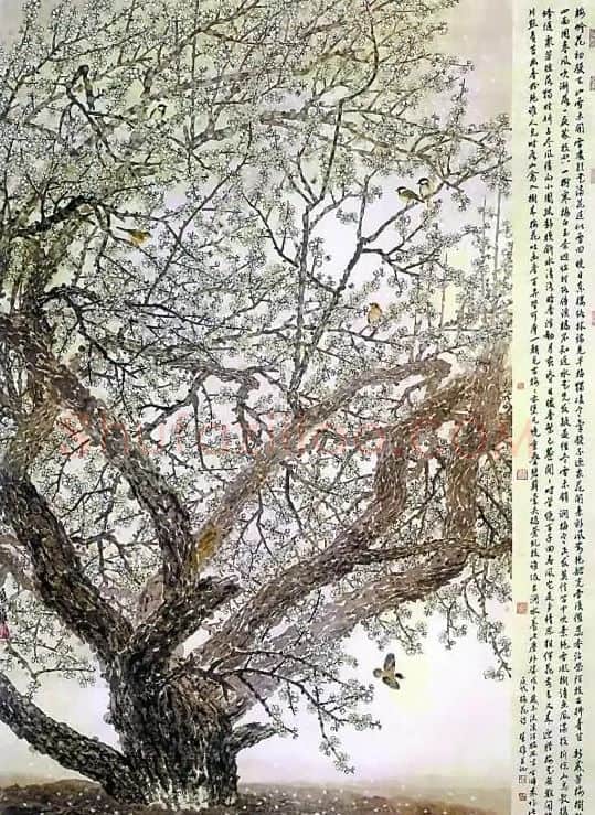方楚雄·香雪悠情