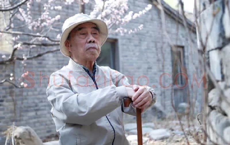 戴泽·戴泽