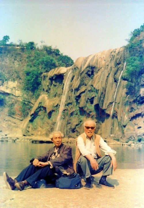 安林·画像·照片