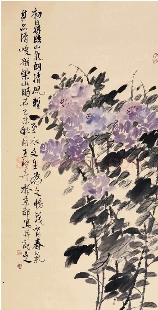 王晓卉·春风得意时