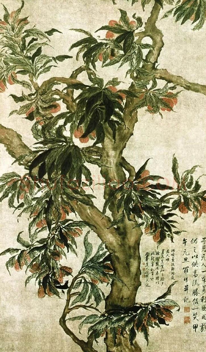 罗聘· 荔枝图