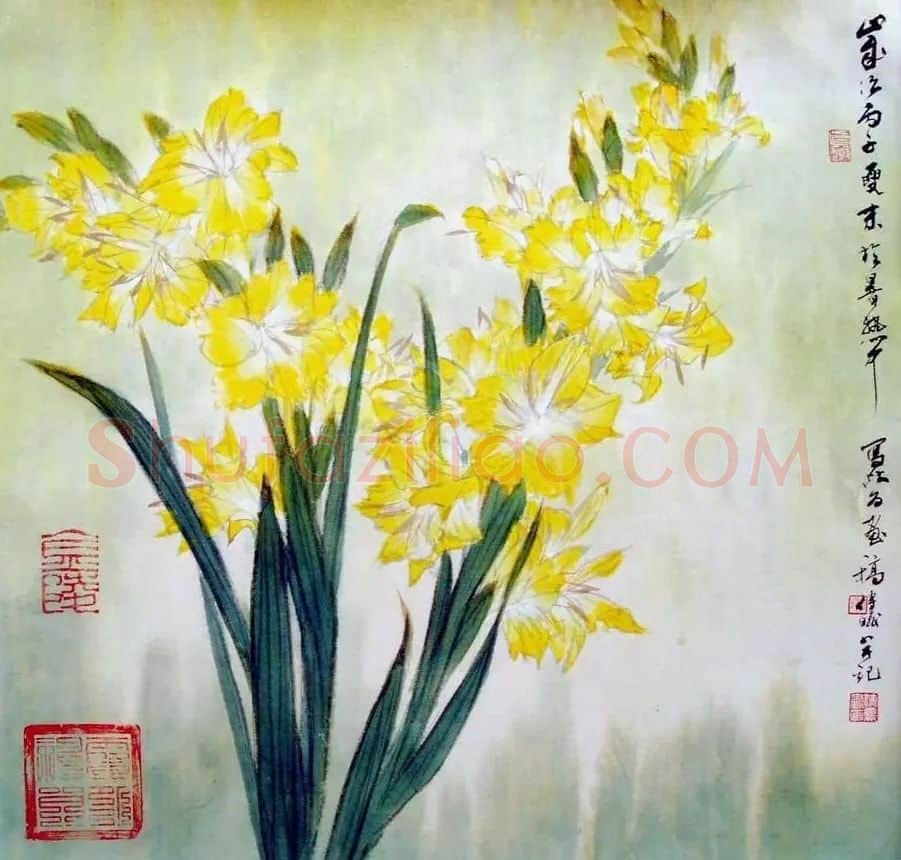 舒传曦·花卉
