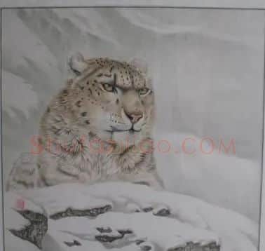 马宝林·天山雪豹