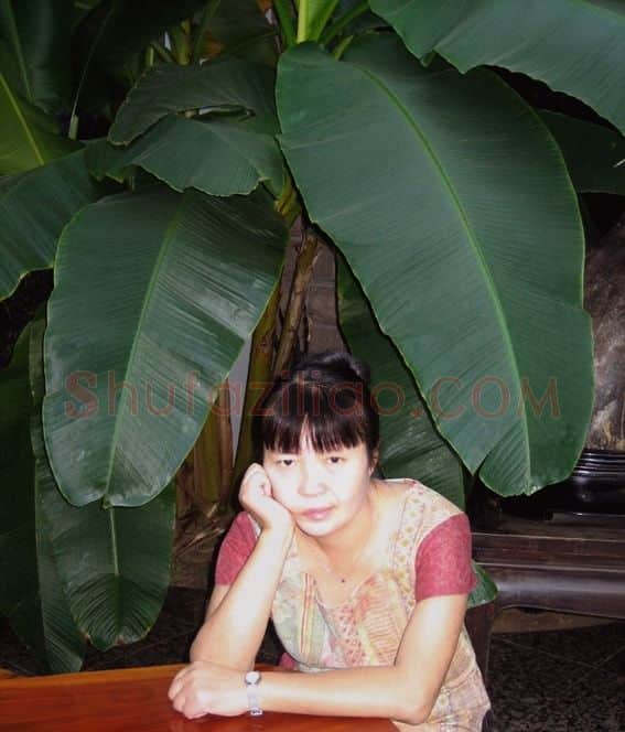 王绿霞·画像·照片