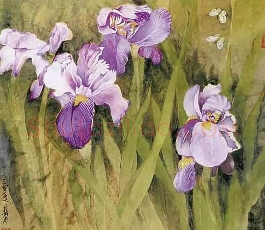 李碧霞·水仙花