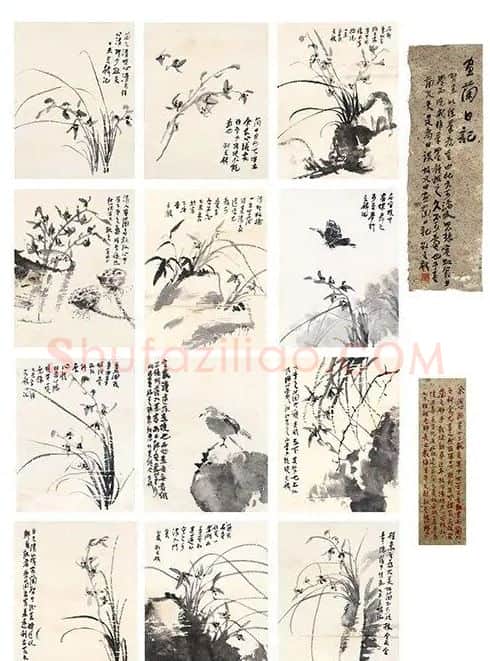 刘贞麟·画兰日记