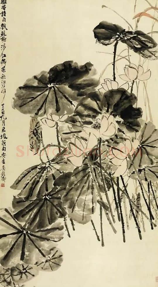 吴昌硕·荷花