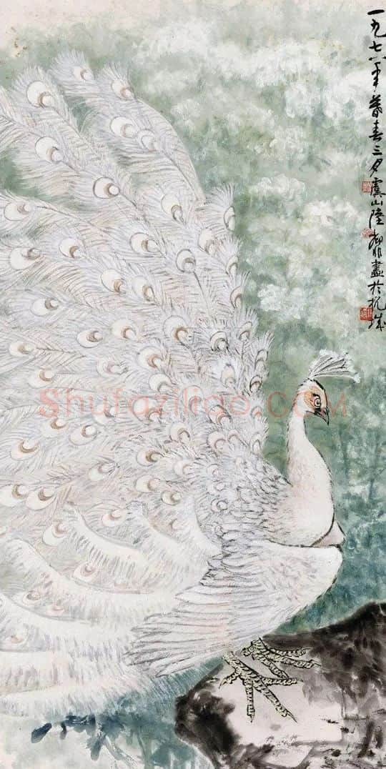 陆抑非·白孔雀