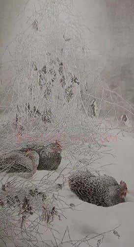 杜平·野风伴雪
