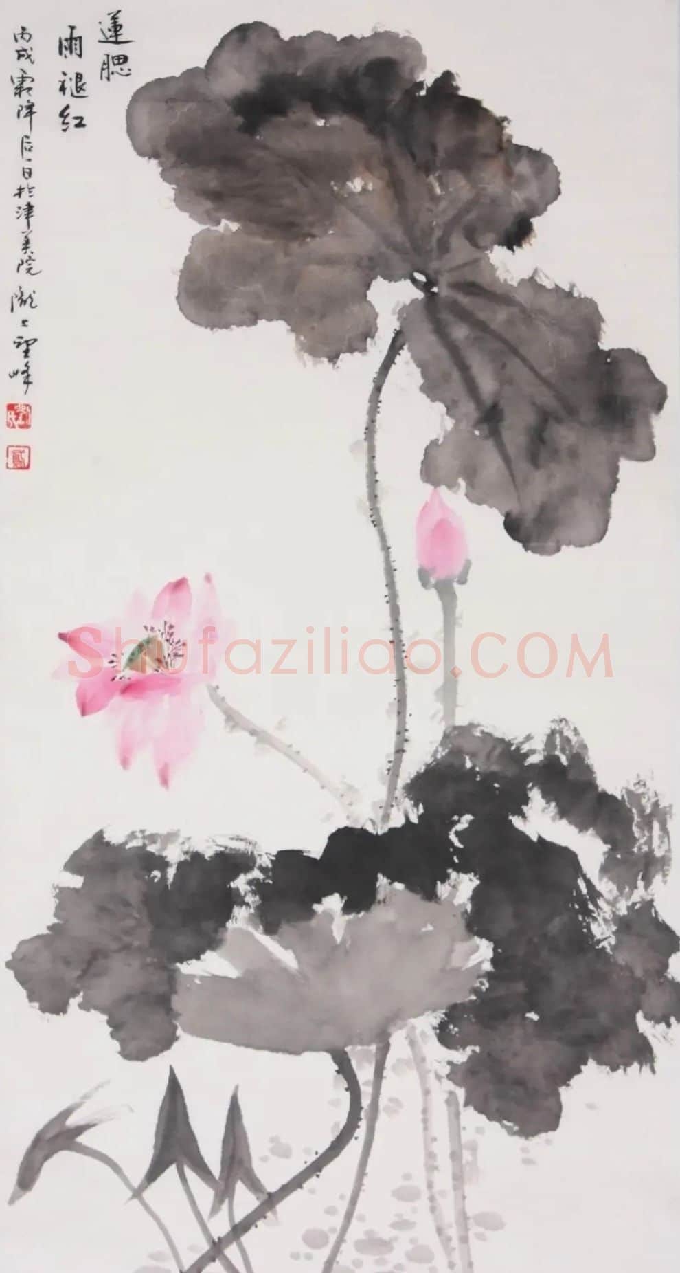 刘鸢·莲腮雨退红