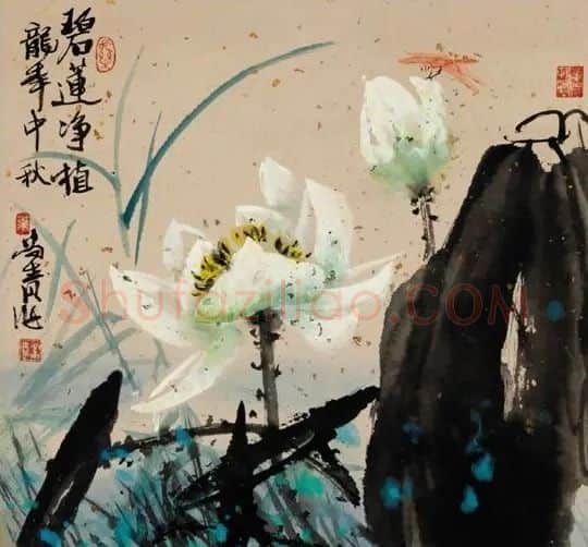 叶尚青·碧莲净植