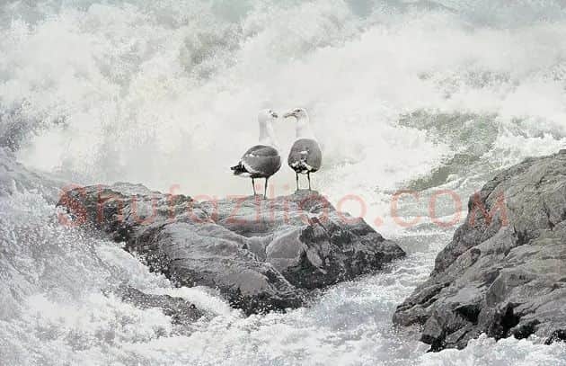 黄有维·海之恋