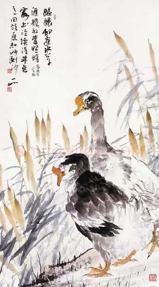 吴静初·苇岸蹒跚