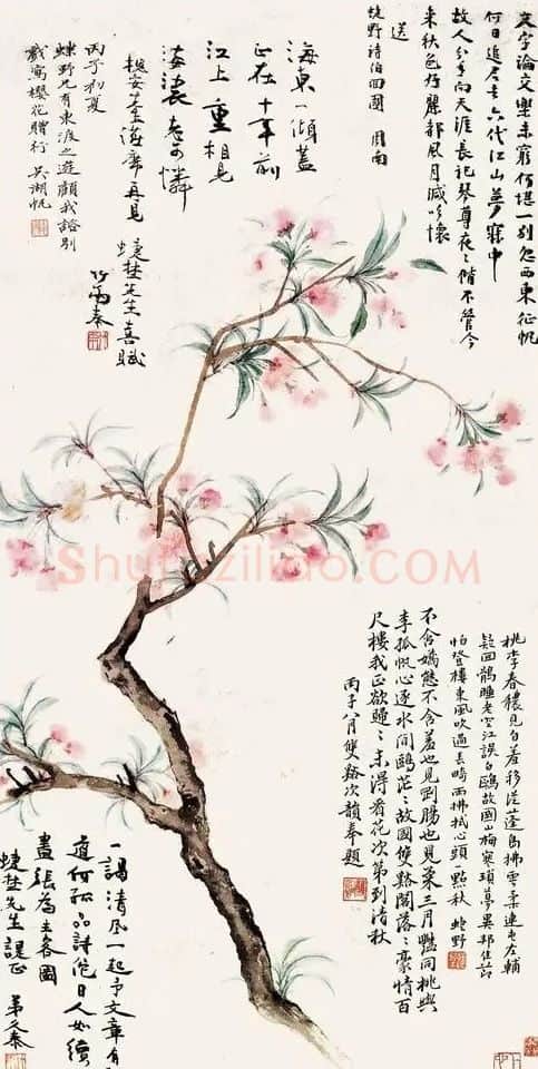 吴湖帆·樱花赠陈定山