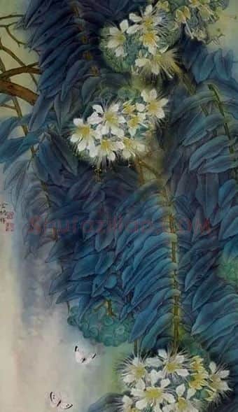 金纳·金纳 作品