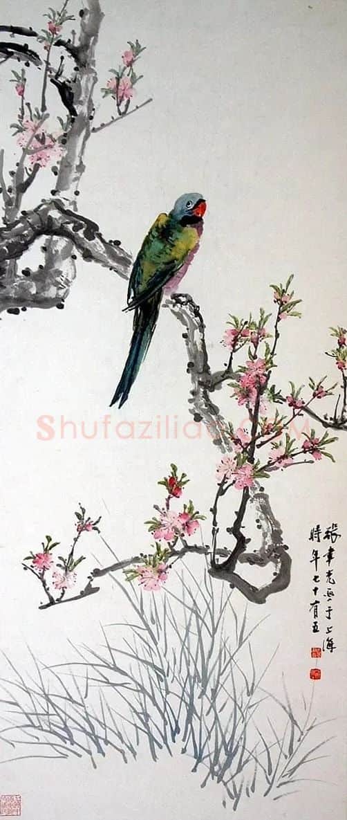 张聿光·《鹦鹉》