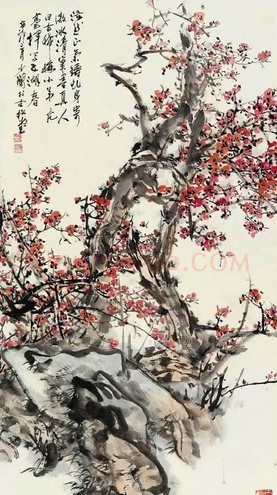 邢少兰·梅