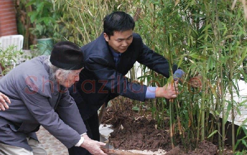 胡智林·与晏济元老师一起栽竹子