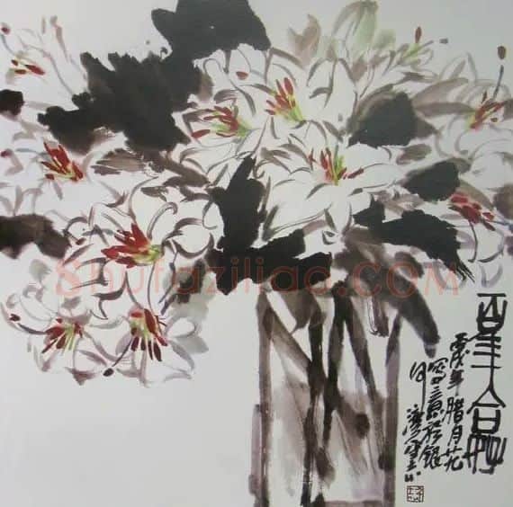 王守志·百合新放