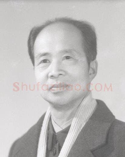 沈涛·画像·照片